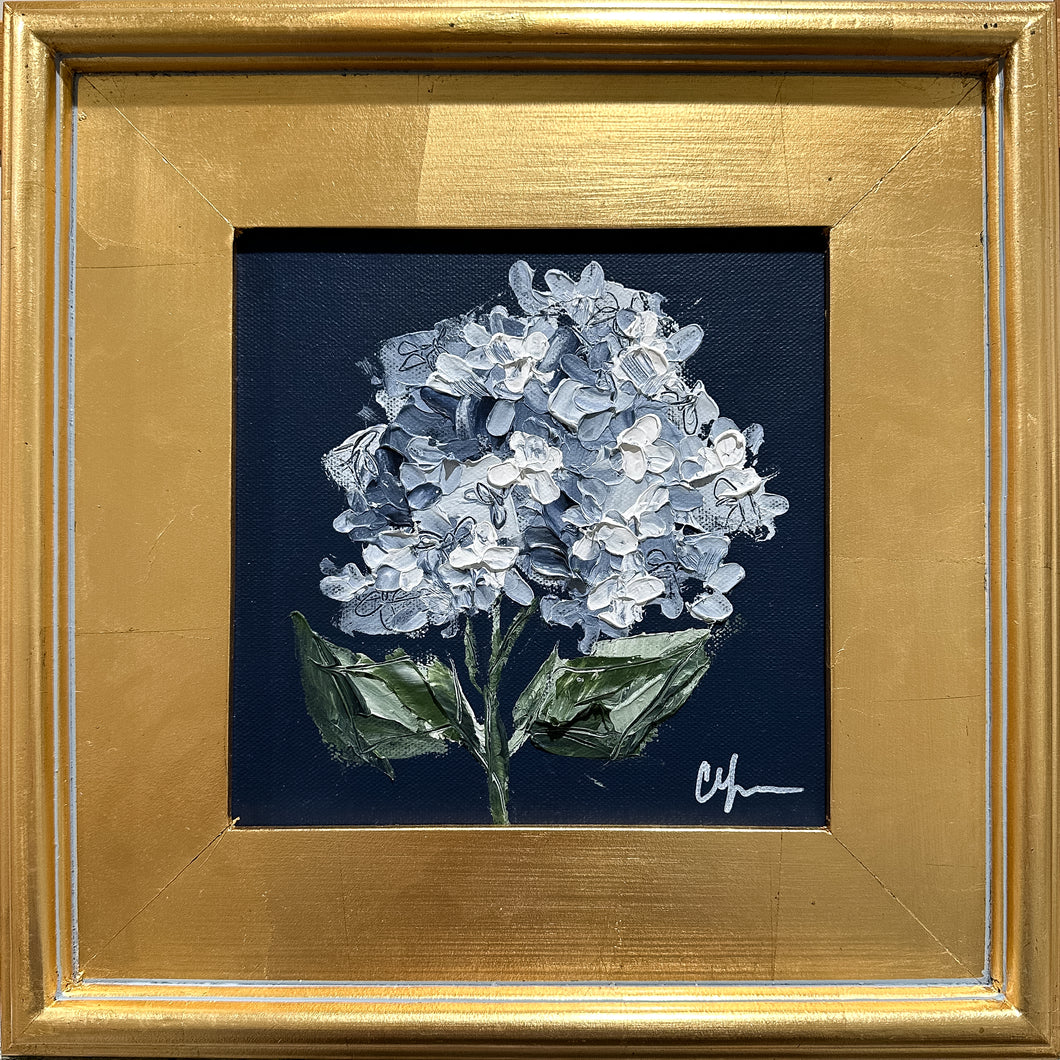 “Hydrangea on Dark Blue II” 8x8 Acrylic on Canvas
