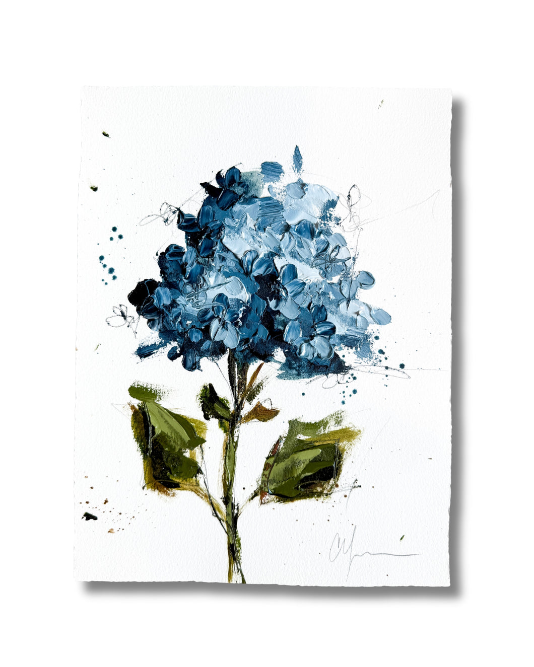 “Hydrangeas II | 2025” 11.5x 8.75” Oil on Paper
