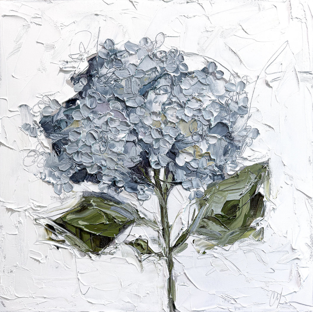 “Hydrangea Botanical X” - 20x20 Oil on Canvas