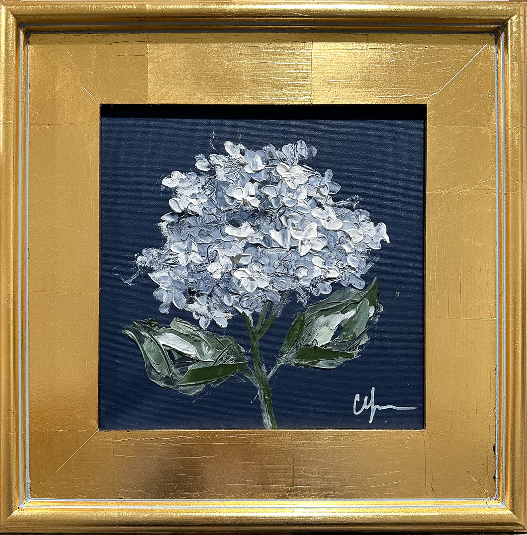 “Hydrangea on Dark Blue IX” 10x10 Acrylic on Canvas
