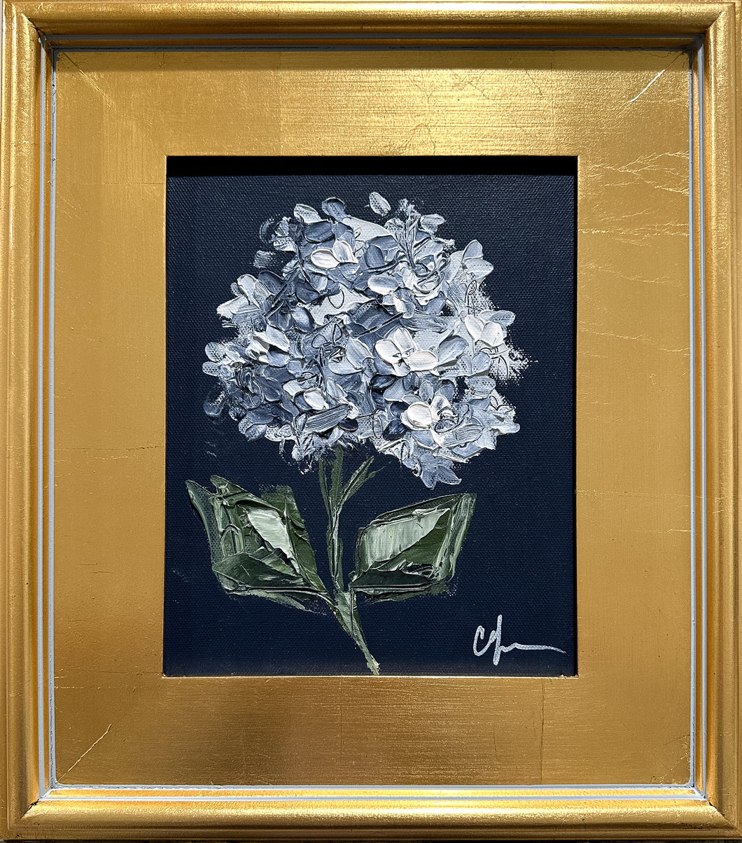 “Hydrangea on Dark Blue VI” 8x10 Acrylic on Canvas
