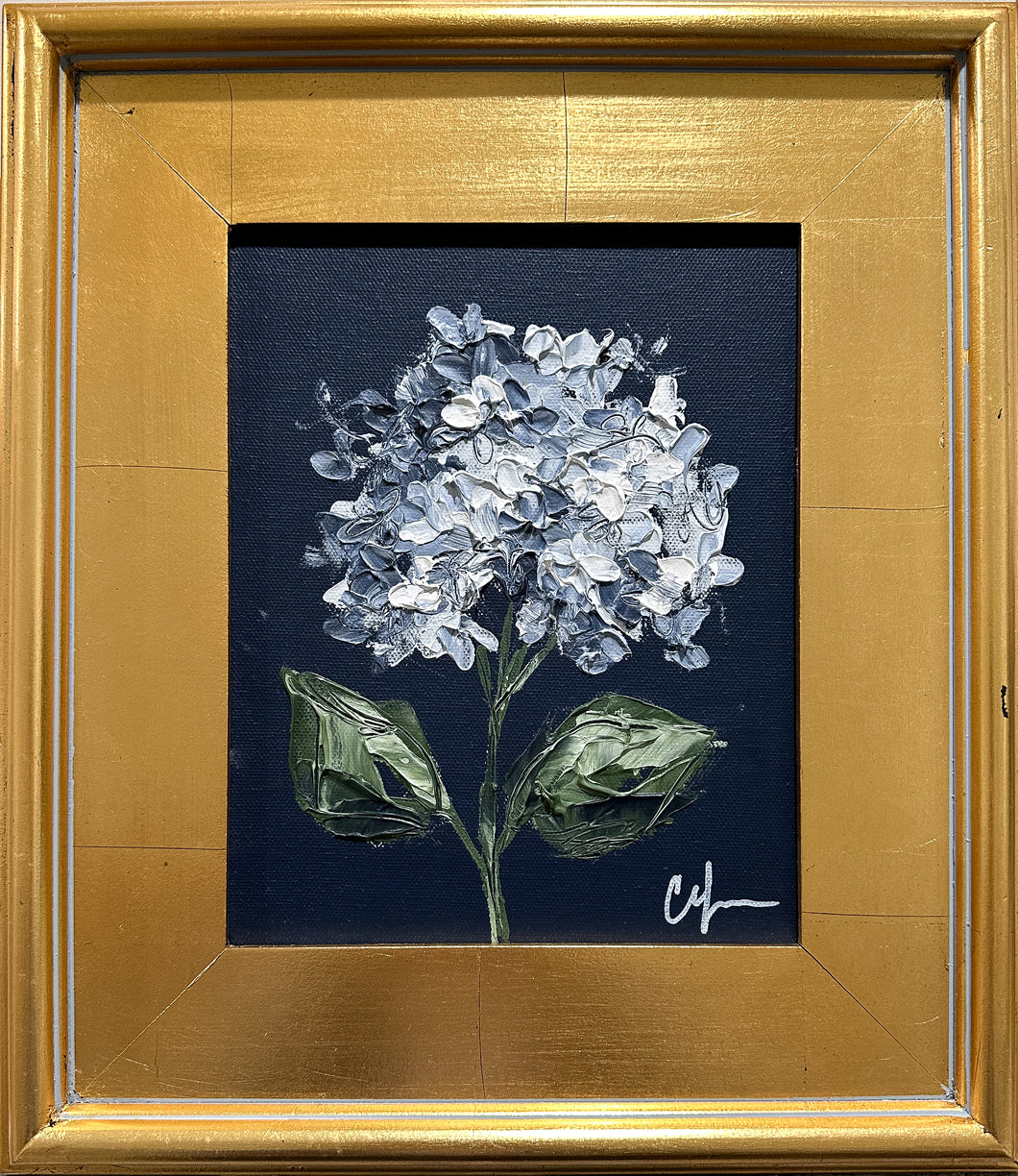 “Hydrangea on Dark Blue III” 8x10 Acrylic on Canvas
