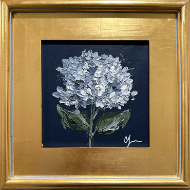 “Hydrangea on Dark Blue I” 8x8 Acrylic on Canvas