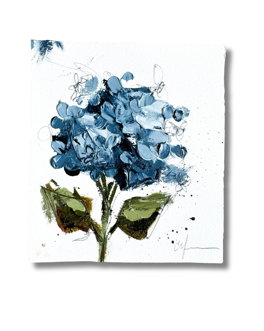 “Hydrangeas III | 2025” 6.5x 6.75” Oil on Paper