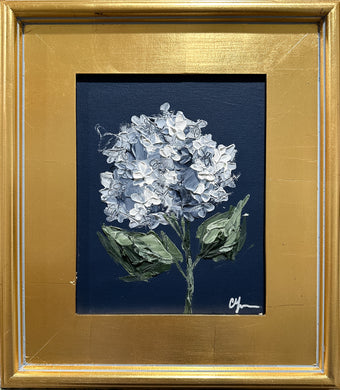 “Hydrangea on Dark Blue IV” 8x10 Acrylic on Canvas
