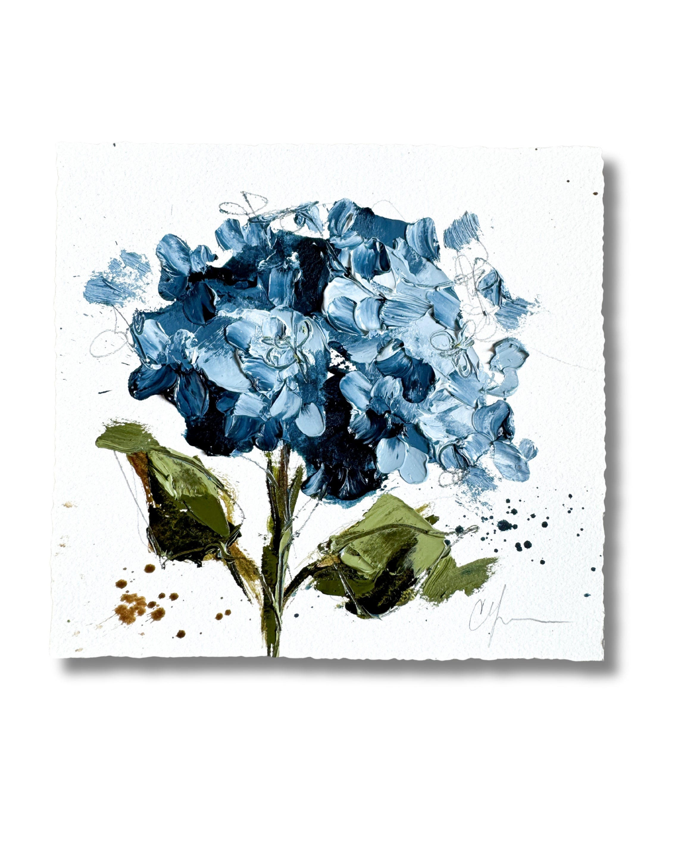 Hydrangeas VI | 2025” 6.25x6.75” Oil on Paper – Christie Younger Art