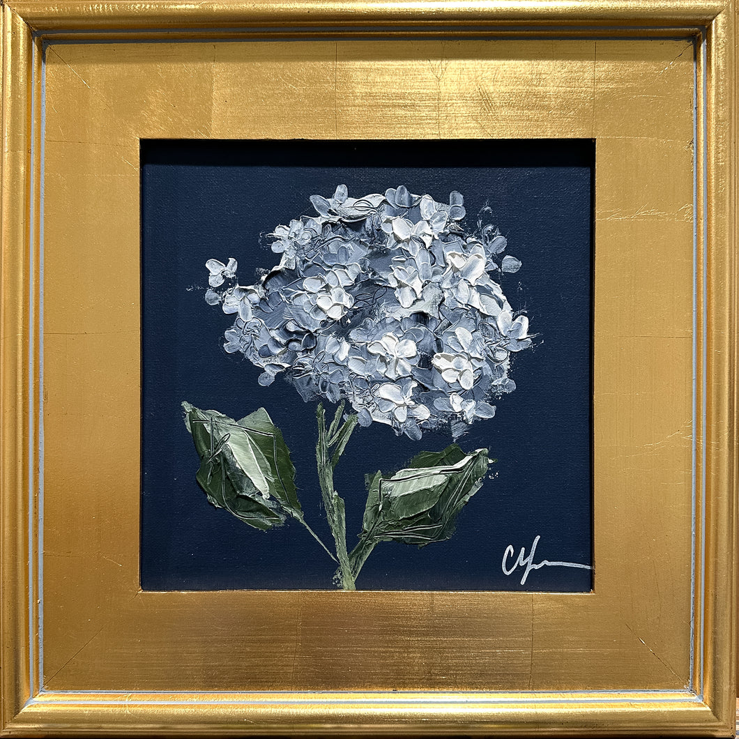 “Hydrangea on Dark Blue VIII” 10x10 Acrylic on Canvas