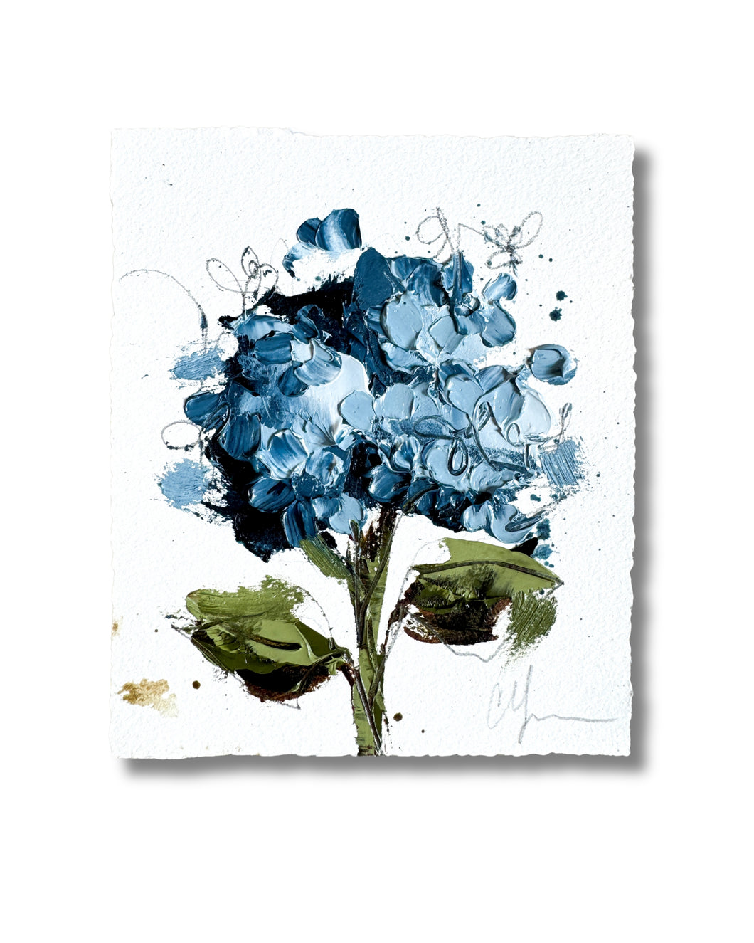 “Hydrangeas IV | 2025” 5x6” Oil on Paper