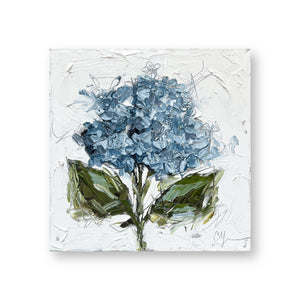 "Blue Hydrangea XVII"