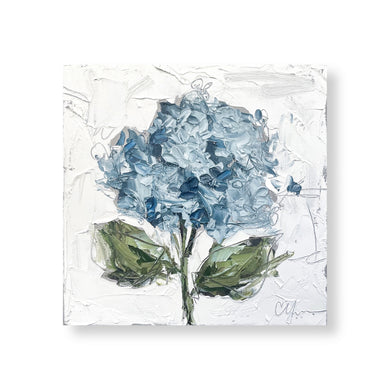 “Blue Hydrangea XIX” 12x12 Oil on Canvas