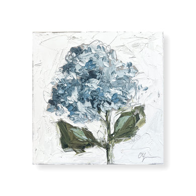 “Blue Hydrangea XX” 12x12 Oil on Canvas