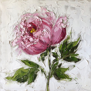 "Pink Peony” 20x20x1.5” Oil and Graphite on Canvas