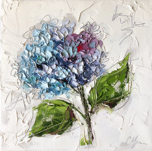 "Hydrangea XVI" 12x12 Oil/Graphite on Canvas