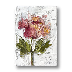 “Pink Peony VI” - 5x7” Oil on Canvas