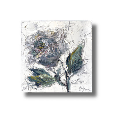 “Peony XXXVII” - 12x12 Oil on Canvas