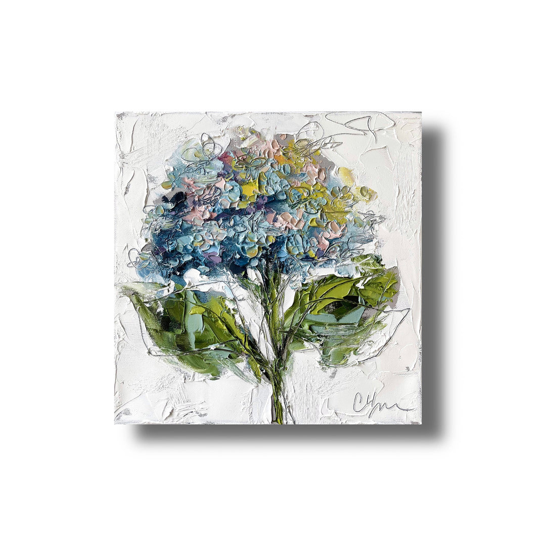“Hydrangea XIX”- 12x12 Oil on Canvas