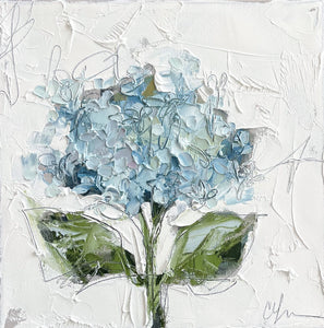 "Blue Hydrangea XII" - 12x12 Oil on Canvas