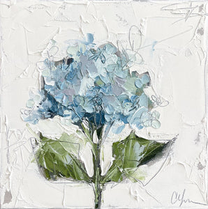 "Blue Hydrangea XIII" - 12x12 Oil on Canvas