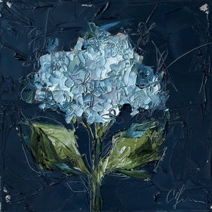 “Hydrangea on Blue III” - 12x12 Oil on Canvas