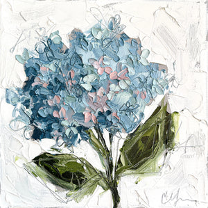 "Blue and Pink Hydrangea I" 12x12" Oil on Canvas
