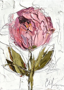 "Spring Peony II” - 5x7 Oil on Canvas