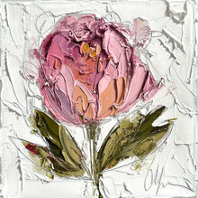 Load image into Gallery viewer, &quot;Spring Peony VI” - 8x8 Oil on Canvas