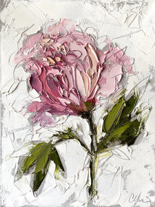 "Peony XIV" 20x16 Oil on Canvas