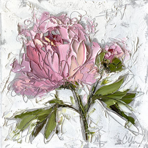 “Peony II” 12x12 Oil/Graphite on Canvas