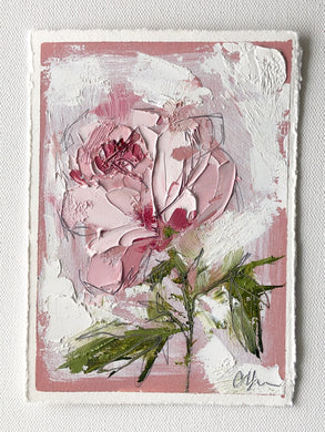“Pink on Pink II” 7x5” Oil/Graphite on Paper