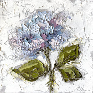 “Hydrangea IV" 12x12 Oil/Graphite on Canvas
