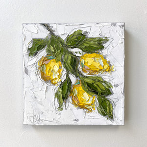 “Lemons III” 12x12 Oil on Canvas