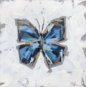 “Blue Morpho V”