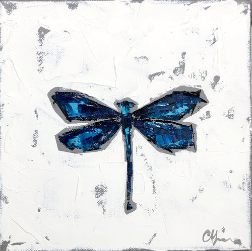 “Beautiful Demoiselle Damselfly”