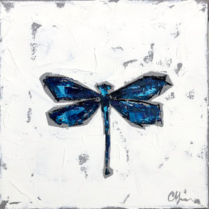 “Beautiful Demoiselle Damselfly”