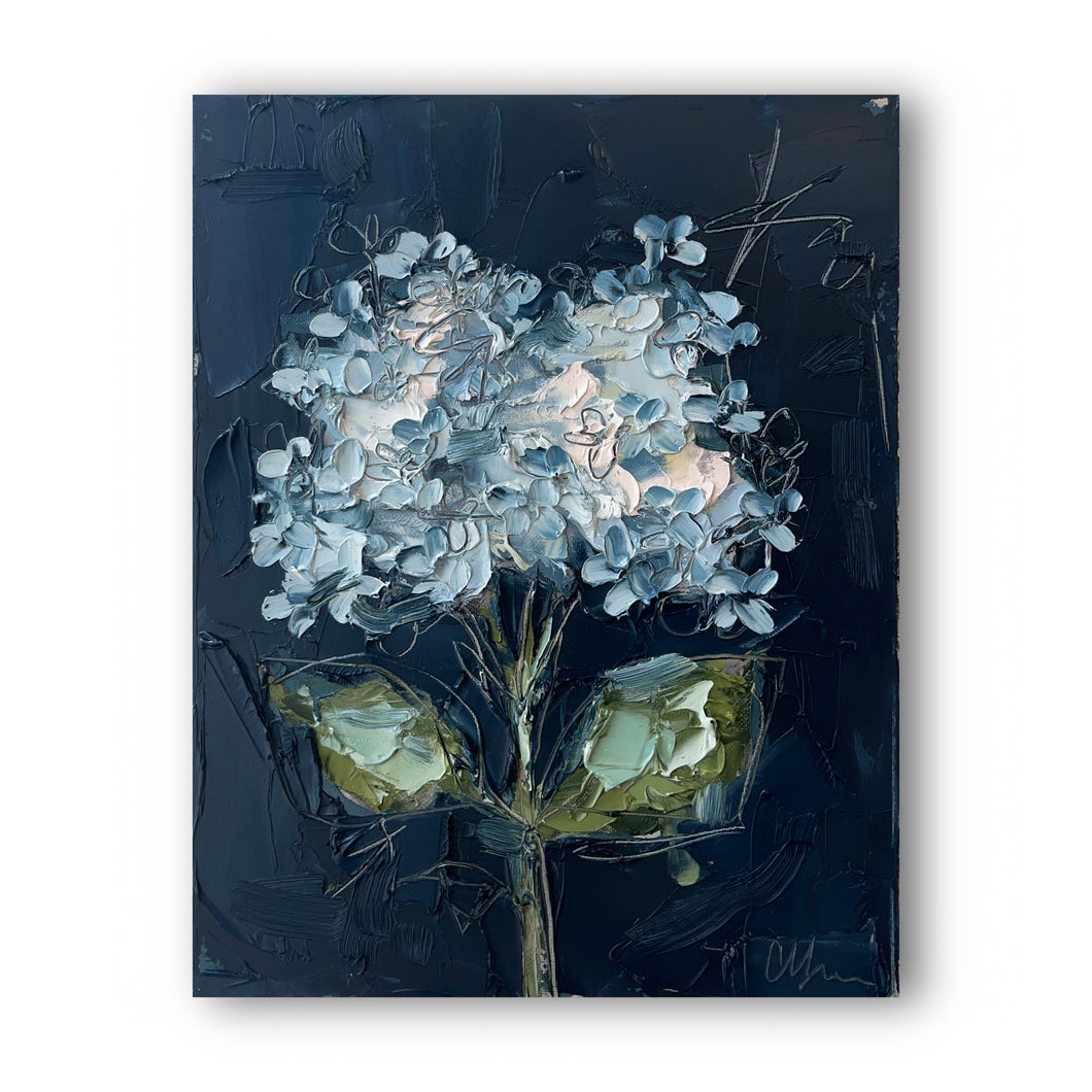 “Hydrangea on Blue II” - 11x14” Oil on Canvas