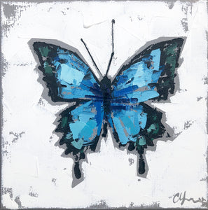 “Papilio ulysses no. 2”