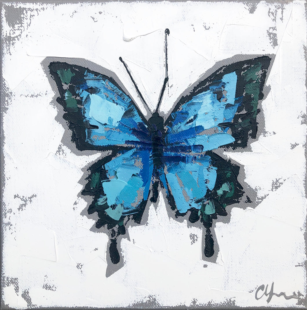 “Papilio ulysses no. 2”