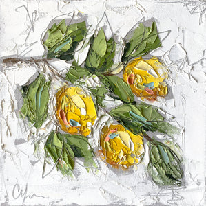 “Lemons I” 12x12 Oil/Graphite on Canvas