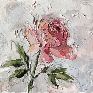 “Peony II” 12x12 Oil/Graphite on Canvas