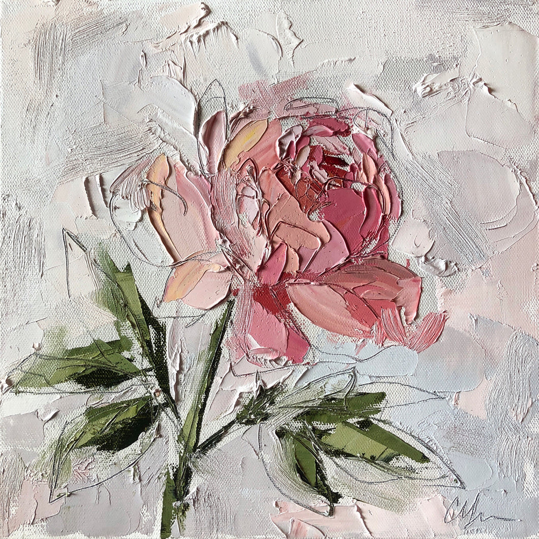 “Peony II” 12x12 Oil/Graphite on Canvas