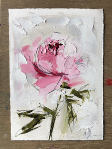 “Peony Vignette VII” 7x5” Oil/Graphite on Paper