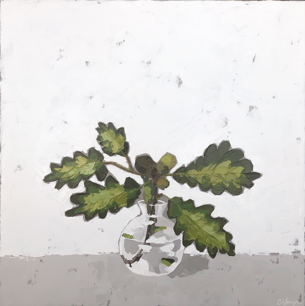 “N.C. White Oak Tree”