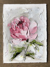 Load image into Gallery viewer, “Peony Vignette XI” 7x5” Oil/Graphite on Paper