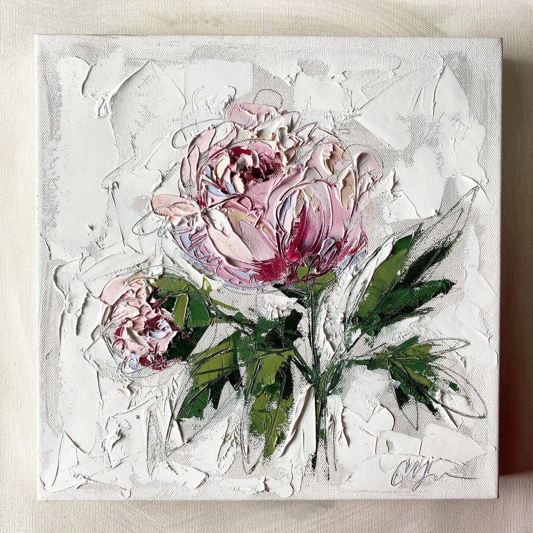 “French Peony II” 12x12 Oil on Canvas