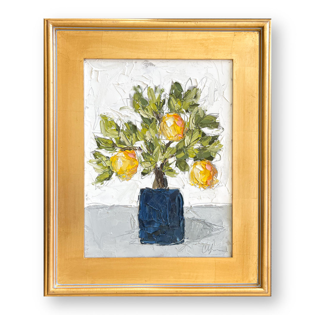 “Little Lemon Tree V”- 12x16 Oil on Canvas