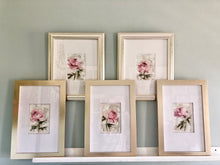 Load image into Gallery viewer, “Peony Vignette V” 7x5” Oil/Graphite on Paper