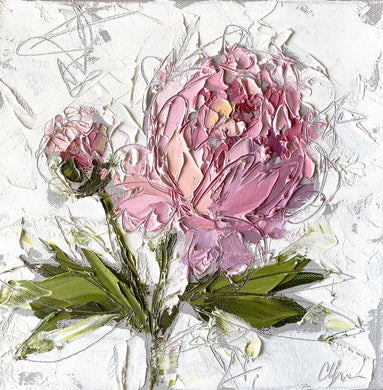 “Peony III” 12x12 Oil/Graphite on Canvas