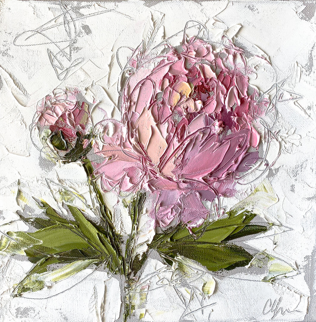 “Peony III” 12x12 Oil/Graphite on Canvas