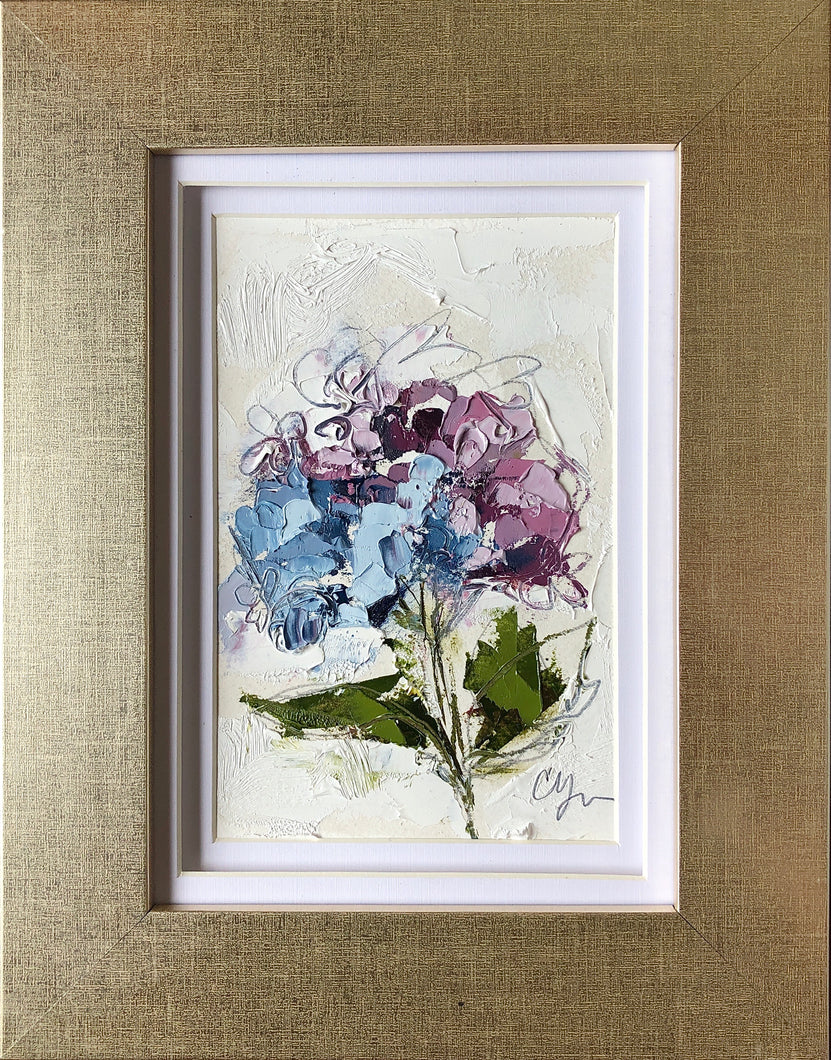 “Little Hydrangea I” 6x4 (9x7) Oil/Graphite on Paper