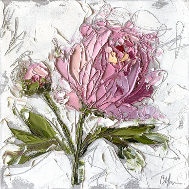 “Peony IV” 12x12 Oil/Graphite on Canvas